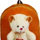 Brown__MODISH BAG