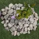 Green__STONESTORIES