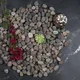 Himalayan__STONESTORIES