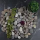 Himalayan__STONESTORIES
