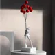 White & Red__Euroxo