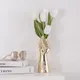 Golden__Euroxo