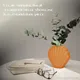 Orange__Euroxo