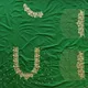 Green__TRENDELLA