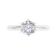 Silver__Glitters Jewel