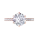 Rose Gold__Glitters Jewel