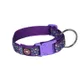 Purple__Petslike