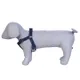 Navy Blue__Petslike