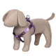 Purple__Petslike