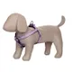 Purple__Petslike