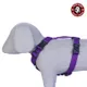 Purple__Petslike
