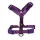 Purple__Petslike