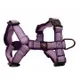 Purple__Petslike