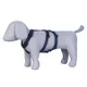 Navy Blue__Petslike