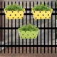Grren & Yellow__Ecofynd