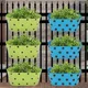 Grren & Blue__Ecofynd
