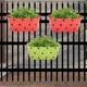 Green & Red__Ecofynd
