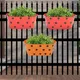 Orange & Red__Ecofynd