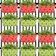 Red & Green__Ecofynd