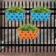 Orange & Blue__Ecofynd