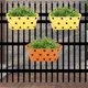 Orange & Yelloe__Ecofynd