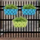 Blue & Green__Ecofynd