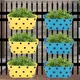 Yellow & Blue__Ecofynd