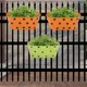 Green & Orange__Ecofynd