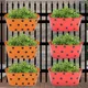 Orange & Red__Ecofynd