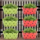 Green & Red__Ecofynd