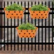 Orange .__Ecofynd
