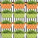 Green & Orange__Ecofynd