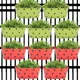 Green & Red__Ecofynd