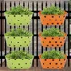 Green & Orange__Ecofynd