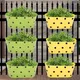 Grren & Yellow__Ecofynd