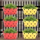 Red & Yellow__Ecofynd