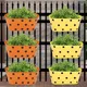 Orange & Yelloe__Ecofynd