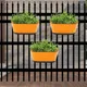 Orange__Ecofynd