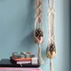 Multicolor__Ecofynd