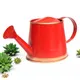 Red__Ecofynd