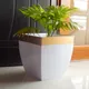 Multicolor__Ecofynd