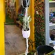 Multicolor__Ecofynd