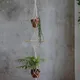 Multicolor__Ecofynd