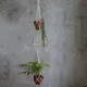 Multicolor__Ecofynd