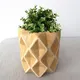 Beige__Ecofynd