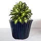 Dark Blue__Ecofynd