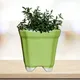 Green__Ecofynd