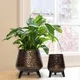 Dark Charcoal__Ecofynd