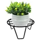 Pack Of 1__Ecofynd