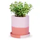 Pink__Ecofynd